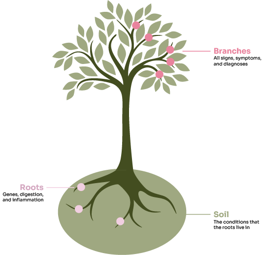 Illustration of a tree diagram representing a health condition. Branches labeled with symptoms and diagnoses; roots signify genes and inflammation.