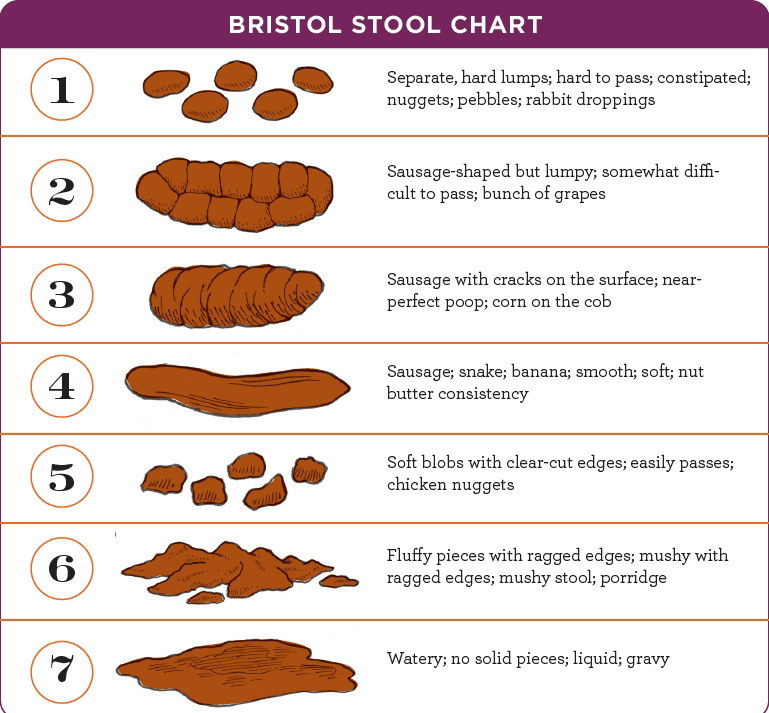 Bristool-Stool-Chart